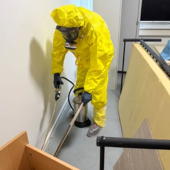 Bettwanzen bekämpfen Frankfurt